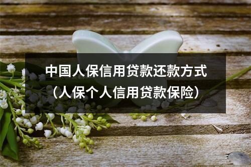 中国人保信用贷款还款方式（人保个人信用贷款保险）
