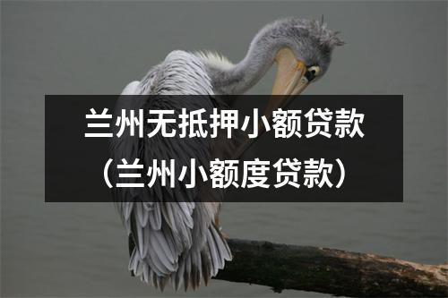 兰州无抵押小额贷款(兰州小额度贷款)