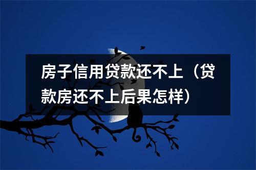 房子信用贷款还不上（贷款房还不上后果怎样）