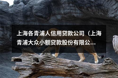 上海各青浦人信用贷款公司（上海青浦大众小额贷款股份有限公司）