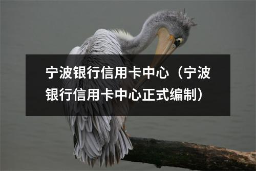 宁波银行信用卡中心(宁波银行信用卡中心正式编制)