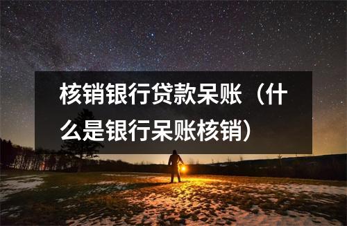 核销银行贷款呆账（什么是银行呆账核销）