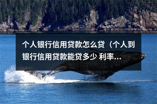 个人银行信用贷款怎么贷（个人到银行信用贷款能贷多少 利率多少）
