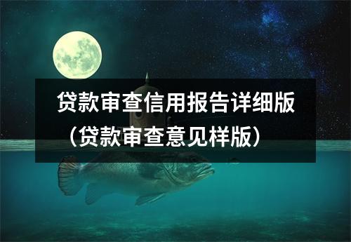 贷款审查信用报告详细版(贷款审查意见样版)