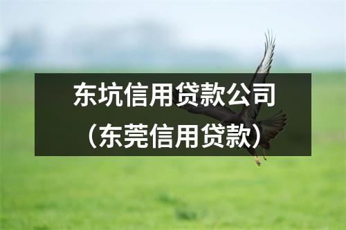 东坑信用贷款公司（东莞信用贷款）