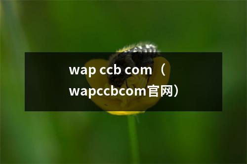 wap ccb com（wapccbcom官网）