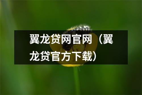翼龙贷网官网（翼龙贷官方下载）