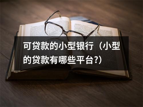 可贷款的小型银行（小型的贷款有哪些平台?）