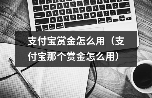 支付宝赏金怎么用（支付宝那个赏金怎么用）