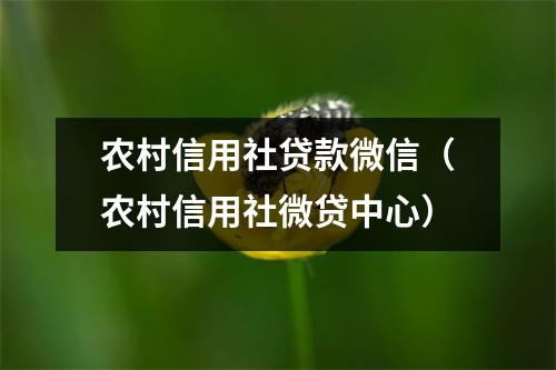 农村信用社贷款微信（农村信用社微贷中心）