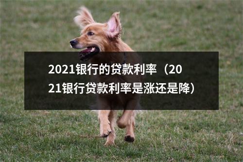 2021银行的贷款利率（2021银行贷款利率是涨还是降）