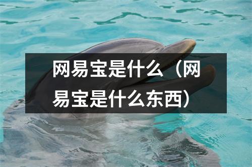 网易宝是什么（网易宝是什么东西）