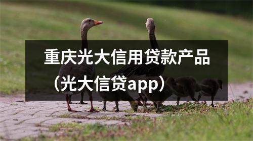 重庆光大信用贷款产品（光大信贷app）