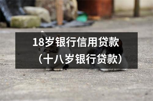 18岁银行信用贷款（十八岁银行贷款）