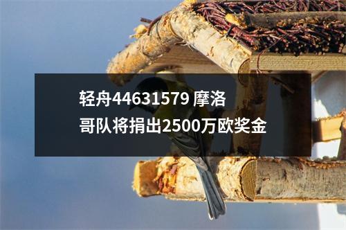 轻舟44631579 摩洛哥队将捐出2500万欧奖金