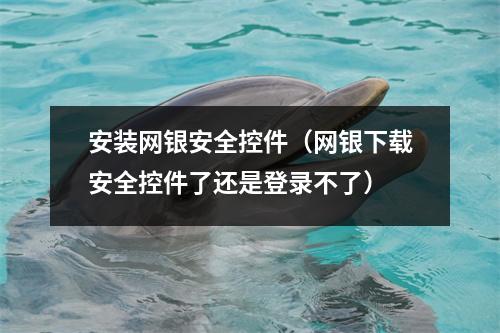 安装网银安全控件（网银下载安全控件了还是登录不了）