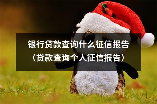 银行贷款查询什么征信报告（贷款查询个人征信报告）