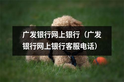 广发银行网上银行（广发银行网上银行客服电话）