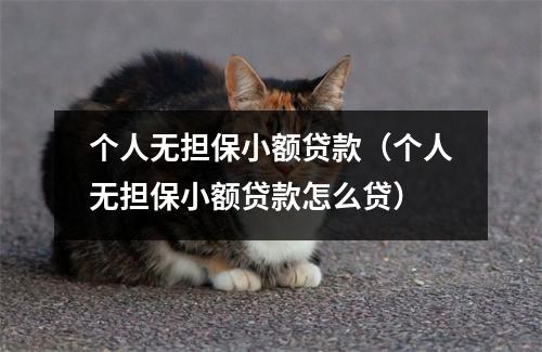 个人无担保小额贷款（个人无担保小额贷款怎么贷）