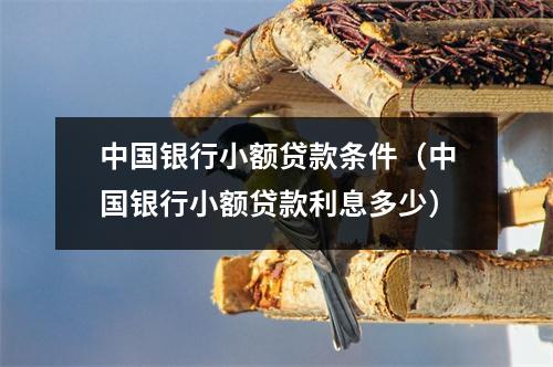 中国银行小额贷款条件（中国银行小额贷款利息多少）