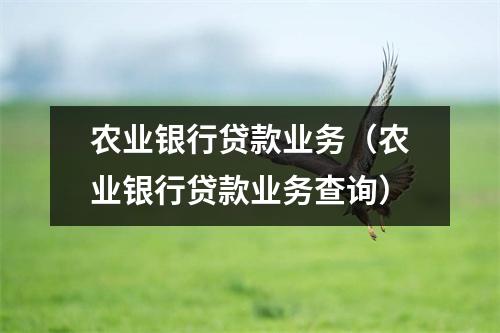农业银行贷款业务（农业银行贷款业务查询）