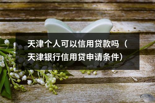 天津个人可以信用贷款吗（天津银行信用贷申请条件）