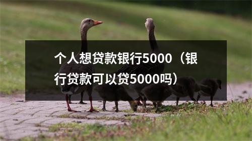 个人想贷款银行5000（银行贷款可以贷5000吗）