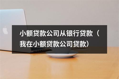 小额贷款公司从银行贷款（我在小额贷款公司贷款）