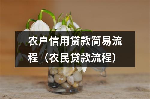 农户信用贷款简易流程（农民贷款流程）