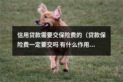信用贷款需要交保险费的（贷款保险费一定要交吗 有什么作用）