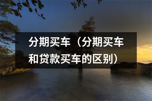 分期买车（分期买车和贷款买车的区别）