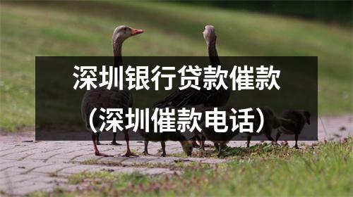 深圳银行贷款催款（深圳催款电话）