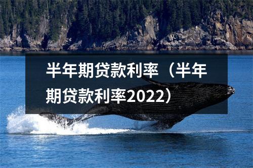 半年期贷款利率（半年期贷款利率2022）