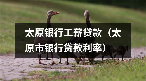 太原银行工薪贷款（太原市银行贷款利率）