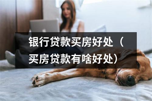 银行贷款买房好处（买房贷款有啥好处）