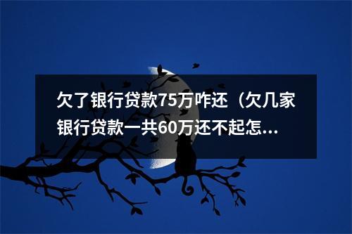 欠了银行贷款75万咋还（欠几家银行贷款一共60万还不起怎么办）