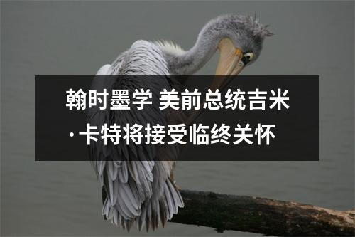 翰时墨学 美前总统吉米·卡特将接受临终关怀