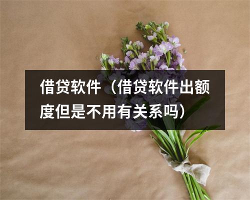 借贷软件（借贷软件出额度但是不用有关系吗）