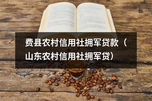 费县农村信用社拥军贷款（山东农村信用社拥军贷）