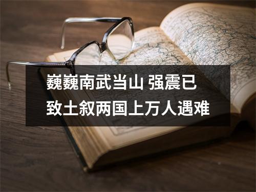 巍巍南武当山 强震已致土叙两国上万人遇难