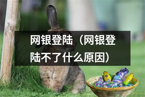 网银登陆（网银登陆不了什么原因）