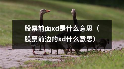股票前面xd是什么意思（股票前边的xd什么意思）