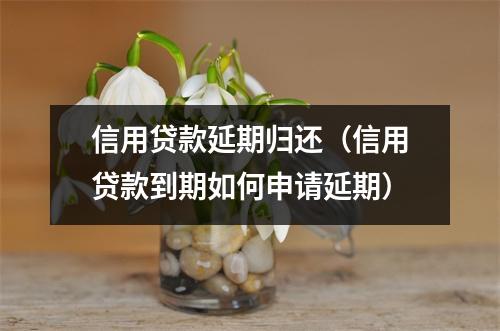 信用贷款延期归还(信用贷款到期如何申请延期)