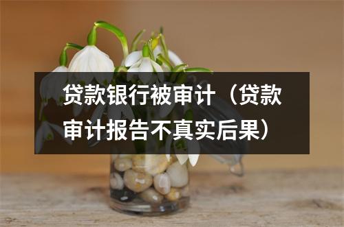 贷款银行被审计（贷款审计报告不真实后果）