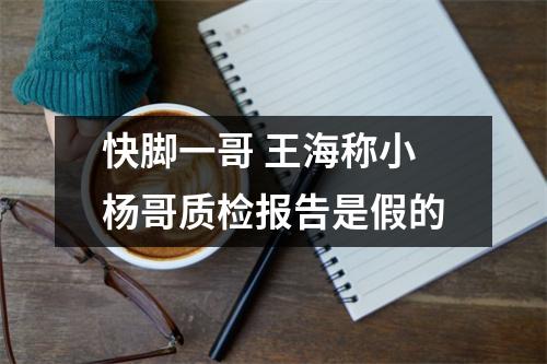 快脚一哥 王海称小杨哥质检报告是假的