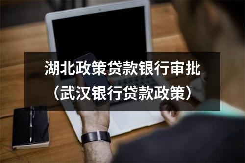 湖北政策贷款银行审批（武汉银行贷款政策）