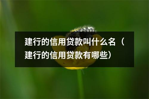 建行的信用贷款叫什么名（建行的信用贷款有哪些）