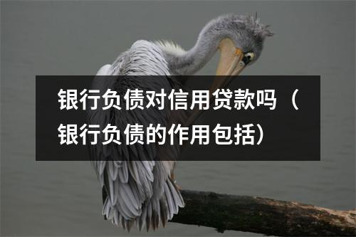 银行负债对信用贷款吗（银行负债的作用包括）