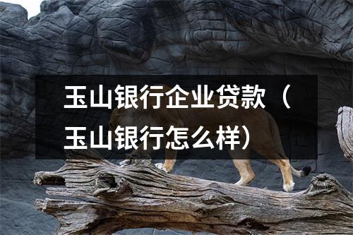 玉山银行企业贷款（玉山银行怎么样）