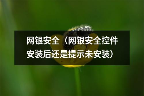网银安全（网银安全控件安装后还是提示未安装）